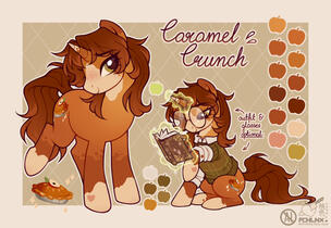 pony ref
